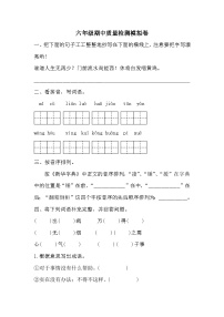 期中质量检测模拟卷（试题）2023-2024学年统编版语文六年级下册