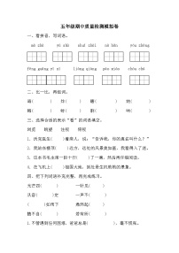 期中质量检测模拟卷（试题）2023-2024学年统编版语文五年级下册