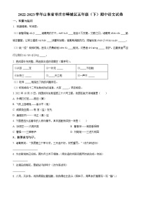 2022-2023学年山东省枣庄市峄城区部编版五年级下册期中考试语文试卷（原卷版+解析版）