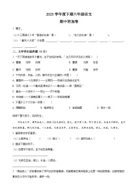 2022-2023学年四川省资阳市雁江区丹山学区部编版六年级下册期中考试语文试卷（原卷版+解析版）