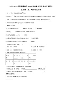 2022-2023学年新疆维吾尔自治区乌鲁木齐市新市区集团校部编版五年级下册期中考试语文试卷（原卷版+解析版）