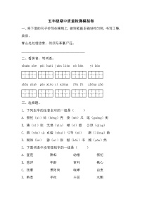 期中质量检测模拟卷（二）-2023-2024学年语文五年级下册统编版