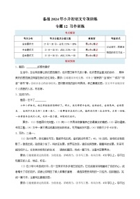 专题12 习作训练-备战2024年小升初语文专项训练（含答案解析）