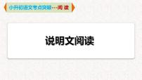 9   专题六、 说明文阅读（课件）2024学年小升初语文考点突破