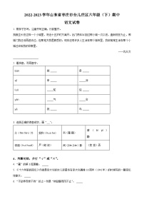 2022-2023学年山东省枣庄市台儿庄区部编版六年级下册期中考试语文试卷（原卷版+解析版）