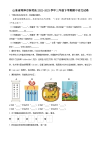 2022-2023学年山东省菏泽市东明县部编版三年级下册期中考试语文试卷（原卷版+解析版）