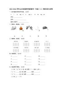 山东省泰安市新泰市2023-2024学年一年级上学期期末语文试题（含答案）