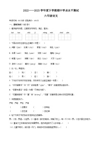 2022-2023学年辽宁省沈阳市新民市芦屯镇九年一贯制学校部编版六年级下册期中考试语文试卷（原卷版+解析版）