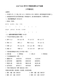 2022-2023学年河南省漯河市舞阳县部编版六年级下册期中考试语文试卷（原卷版+解析版）