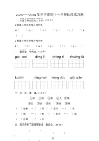 期中阶段练习题（试题）2023-2024学年统编版语文一年级下册