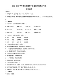 2022-2023学年河南省洛阳市伊川县部编版六年级下册期中考试语文试卷（原卷版+解析版）