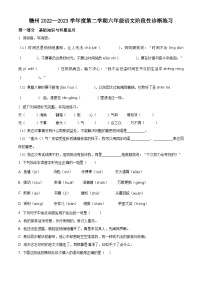 2022-2023学年江西省赣州地区部编版六年级下册期中考试语文试卷（原卷版+解析版）