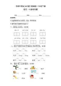 期中基础巩固卷 一年级下册 2023-2024学年语文 统编版