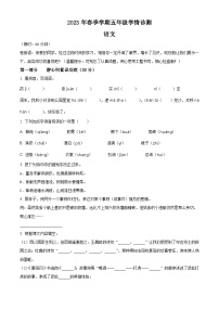 2022-2023学年河南省三门峡市湖滨区部编版五年级下册期中考试语文试卷（原卷版+解析版）