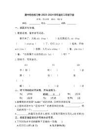 期中综合练习卷（试题）2023-2024学年统编版语文三年级下册