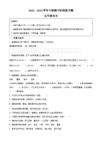 2022-2023学年河南省周口市西华县部编版五年级下册期中考试语文试卷（原卷版+解析版）