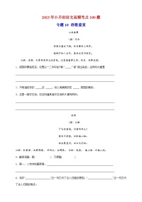 专题10：诗歌鉴赏-2023年小升初语文高频考点100题（部编版）