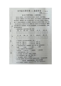 江苏省泰州市兴化市2023-2024学年四年级期下学期中语文试题