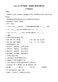 2022-2023学年山东省济宁市金乡县部编版六年级下册期中考试语文试卷（原卷版+解析版）