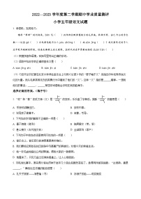 2022-2023学年山东省菏泽市成武县部编版五年级下册期中考试语文试卷（原卷版+解析版）