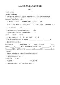 2022-2023学年河南省三门峡市湖滨区部编版六年级下册期中考试语文试卷（原卷版+解析版）