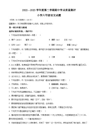 2022-2023学年山东省菏泽市成武县部编版六年级下册期中考试语文试卷（原卷版+解析版）