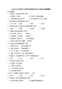 统编版语文六年级下册2024年小升初字义词语专项训练-（含答案）