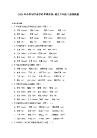 统编版语文六年级下册2024年小升初字音字形专项训练（含答案）