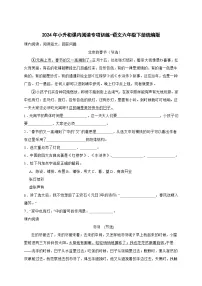 统编版语文六年级下册2024年小升初课内阅读专项训练-（含答案）