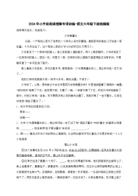 统编版语文六年级下册2024年小升初阅读理解专项训练-(含答案)