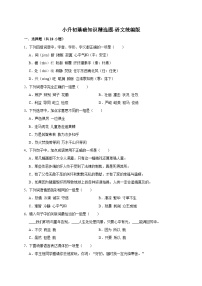 统编版语文小升初基础知识精选题练习（含答案）