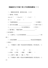 部编版语文六年级下册小升初模拟检测卷（一）（含答案）
