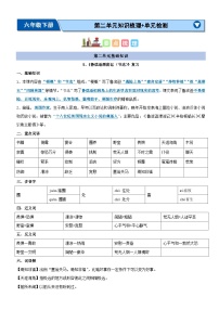 第二单元（知识清单）-2023-2024学年六年级语文下学期期中核心考点集训（统编版）