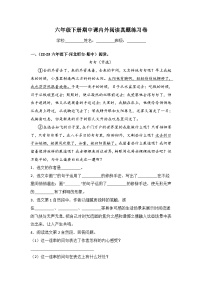 期中课内外阅读真题复习卷-2023-2024学年语文六年级下册+（统编版）