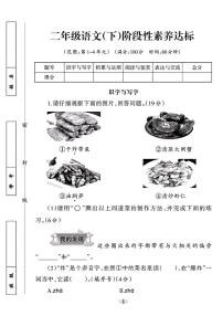 山西省晋城市泽州县大阳镇2023-2024学年二年级下学期期中考试语文试题