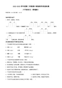 2022-2023学年河北省廊坊市霸州市部编版六年级下册期中考试语文试卷（原卷版+解析版）