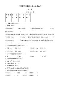 2023-2024学年河南省新乡市新乡县朗公庙镇马头王学校部编版三年级下册期中考试语文试卷（原卷版+解析版）