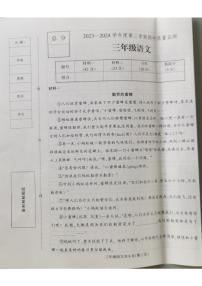 河北省保定市蠡县2023-2024学年三年级下学期期中语文试卷