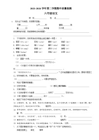 六年级下学期期中语文试卷（原卷+答案与解释）2023-2024学年部编版