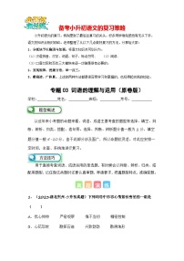 专题03 词语的理解与运用-备考2024学年小升初语文真题知识点汇编 （全国版）