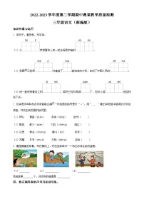 2022-2023学年河北省廊坊市霸州市部编版三年级下册期中考试语文试卷（原卷版+解析版）