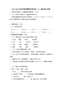 2023-2024学年河南省濮阳市四年级（上）期末语文试卷