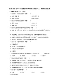 2023-2024学年广东省梅州市大埔县六年级（上）期中语文试卷