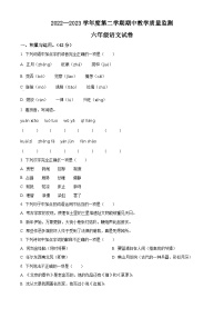 2022-2023学年广东省阳江市阳东区部编版六年级下册期中考试语文试卷（原卷版+解析版）