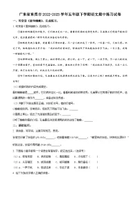 2022-2023学年广东省东莞市部编版五年级下册期中考试语文试卷（原卷版+解析版）