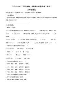 2023-2024学年河北省邯郸市武安市部编版六年级下册期中考试语文试卷（原卷版+解析版）