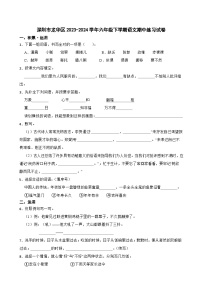 深圳市龙华区2023-2024学年六年级下学期语文期中练习试卷（原卷+答案与解释）