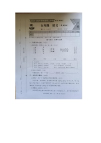 河北省邢台市隆尧县魏庄小学2023-2024学年五年级下学期期中语文试卷A