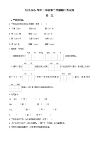 2023-2024学年河南省周口市沈丘县中英文等校部编版三年级下册期中考试语文试卷（原卷版+解析版）