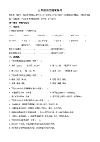 2023-2024学年江苏省盐城市盐都区神州路小学教育集团部编版五年级下册期中考试语文试卷（原卷版+解析版）